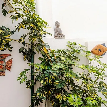 Casablanca - T3 Appartement